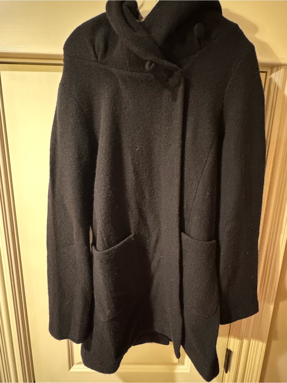 Anthropologie Coat